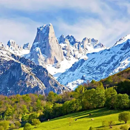 Piso En Picos De Europa - Licencia Vut-le-818 Apartmán Riaño