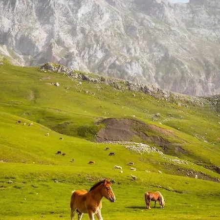 Piso En Picos De Europa - Licencia Vut-le-818 * Riaño