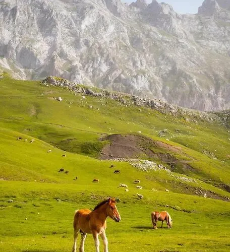 Piso En Picos De Europa - Licencia Vut-le-818 * Riaño
