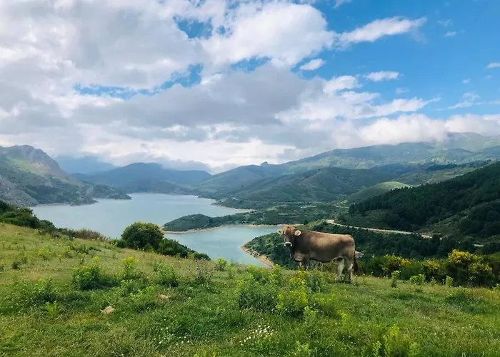 Piso En Picos De Europa - Licencia Vut-le-818 Apartment